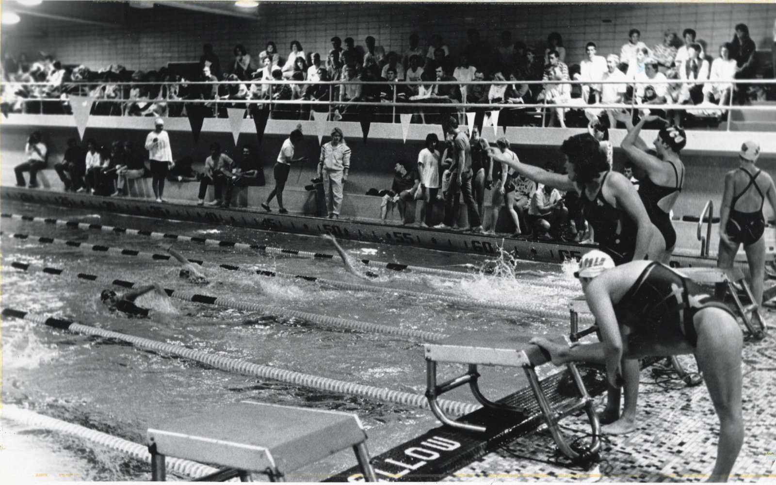 A swim meet inside Franklin Street Gym