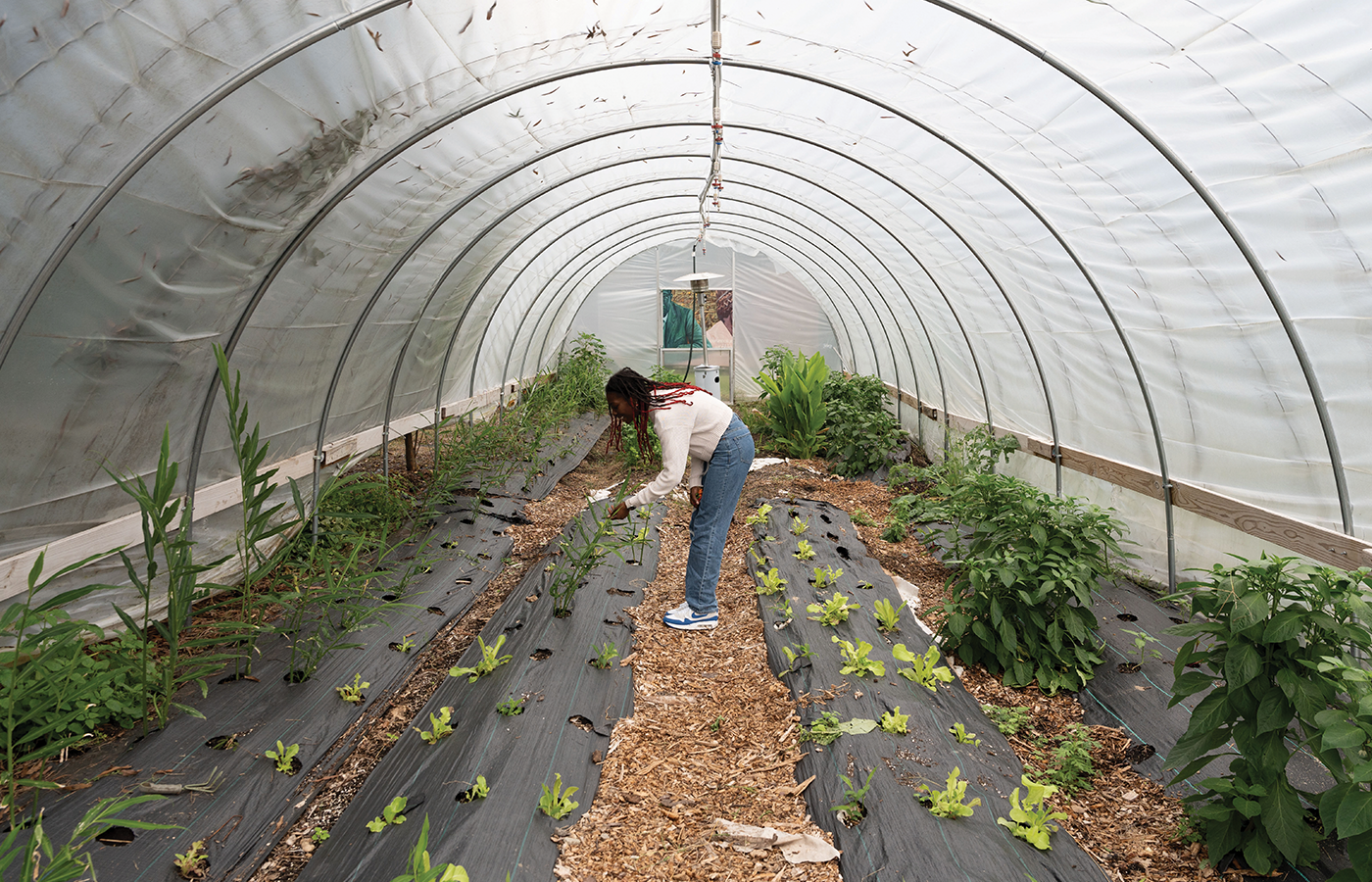 Taylor Scott in a greenhouse