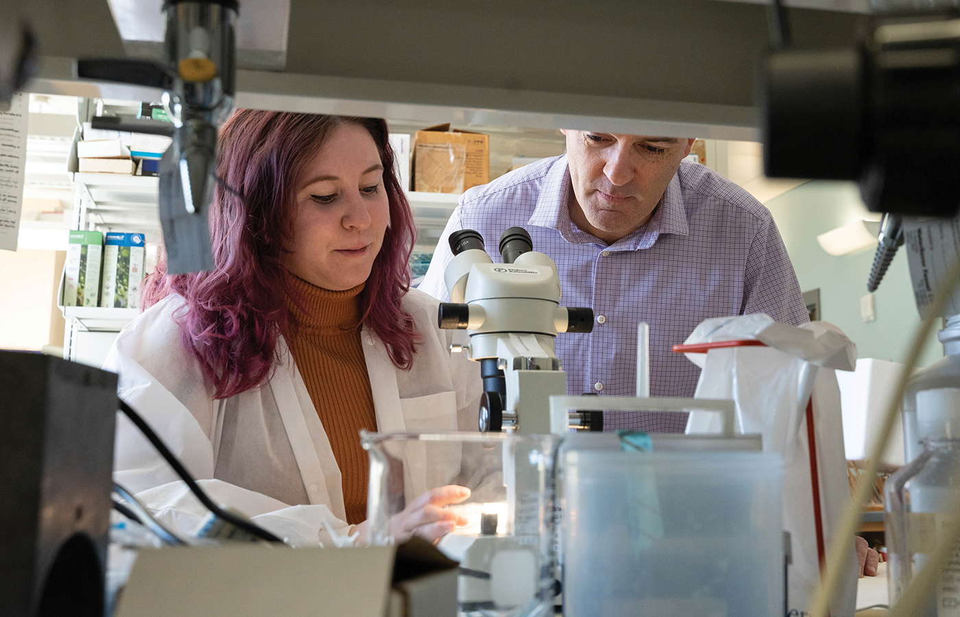 Alaina Jaster and Javier Gonzalez-Maeso sits in front of a microscope in the lab