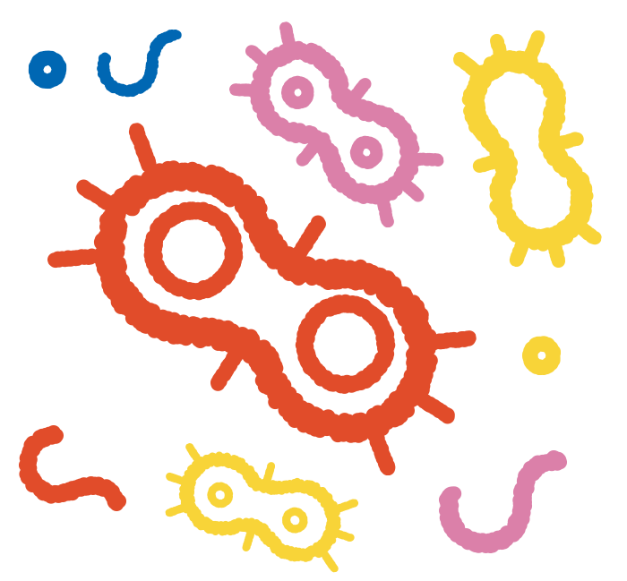 illustration of bacteria