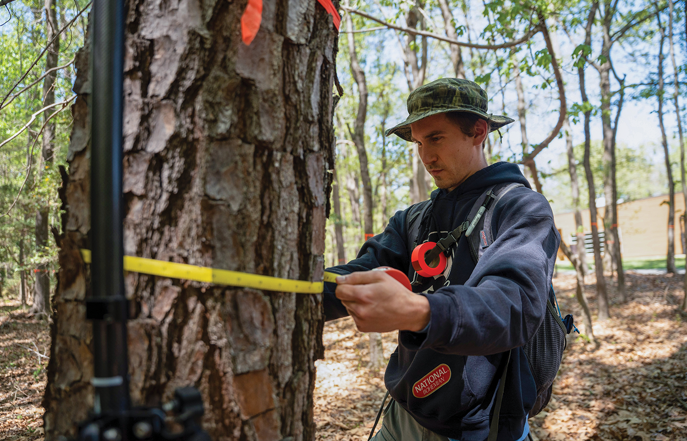 Eric Bouma (B.S.’22) inventories trees