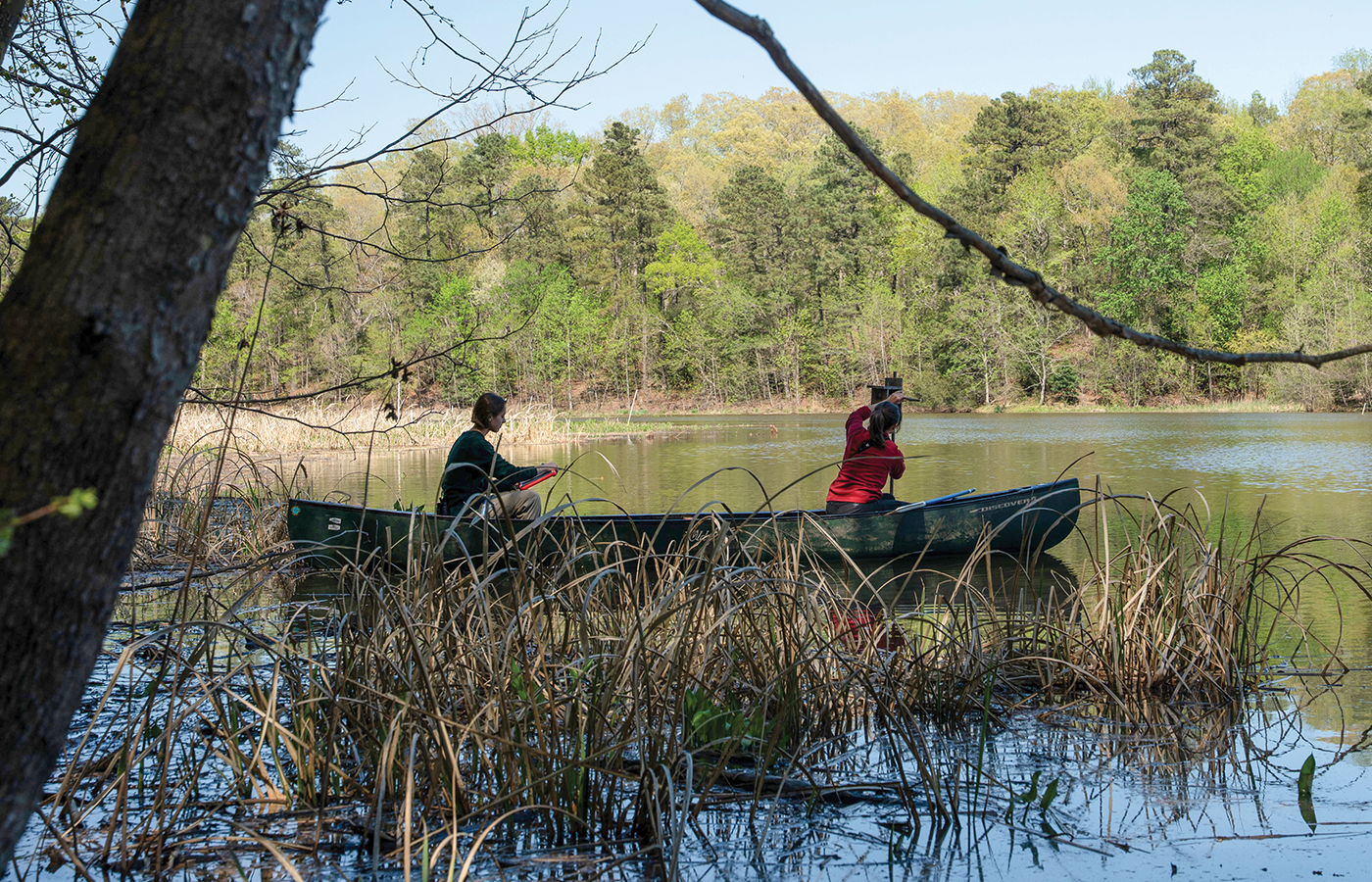 Environmental studies and biology student Mary Carson (left) and Daniella Asnicar (B.S.’24) paddle along Kimages Creek. They’re inspecting nesting boxes as part of the country’s longest-running study of the prothonotary warbler.