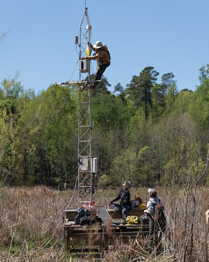 flux tower