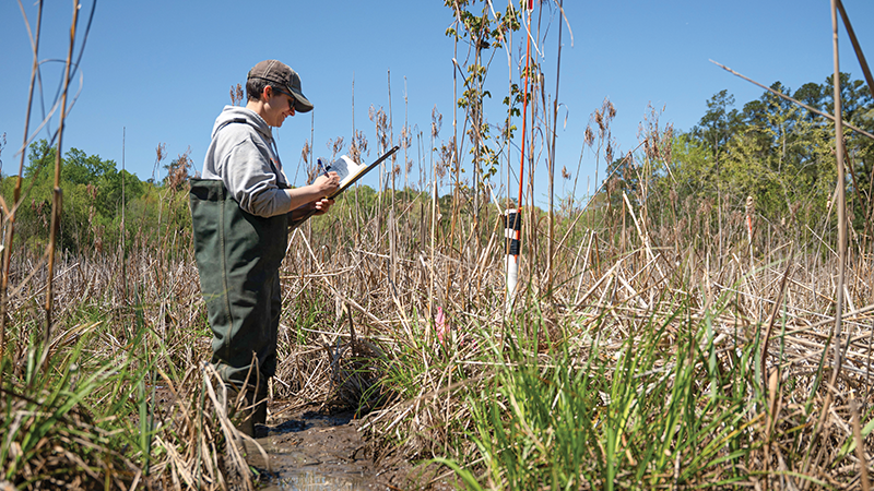 Graduate student Theresa Lucas (B.A.’06, B.S.’24) measures the depth of the water table near groundwater wells at the Rice Rivers Center.