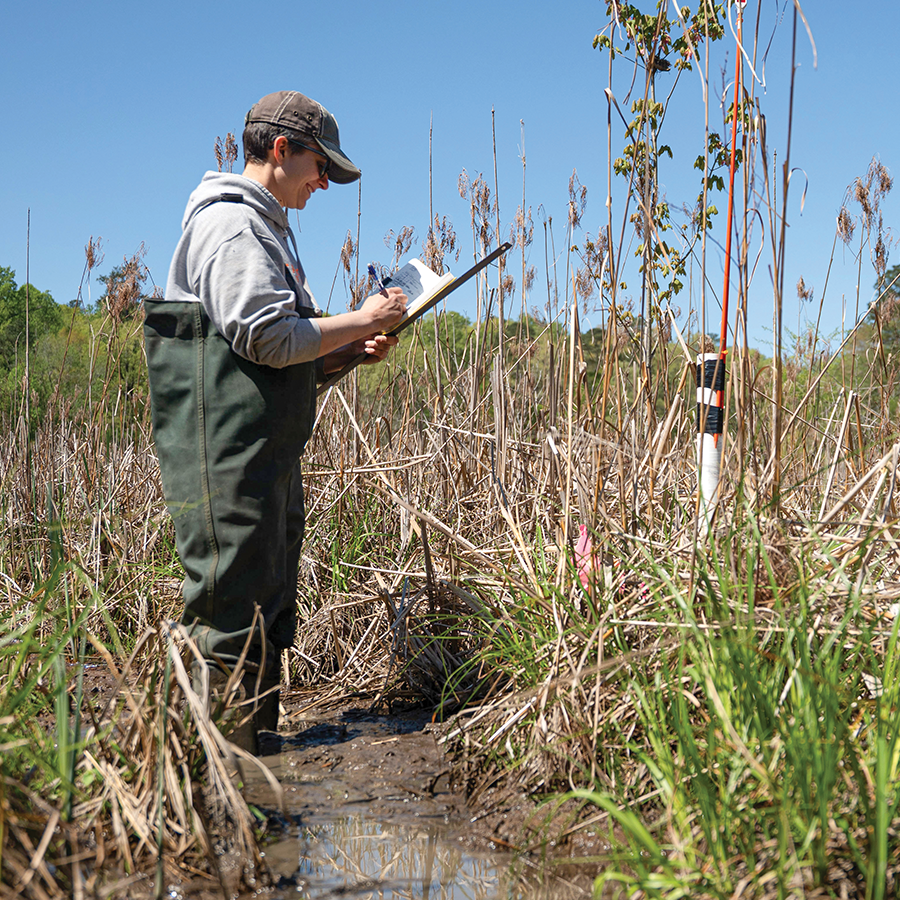 Graduate student Theresa Lucas (B.A.’06, B.S.’24) measures the depth of the water table near groundwater wells at the Rice Rivers Center.