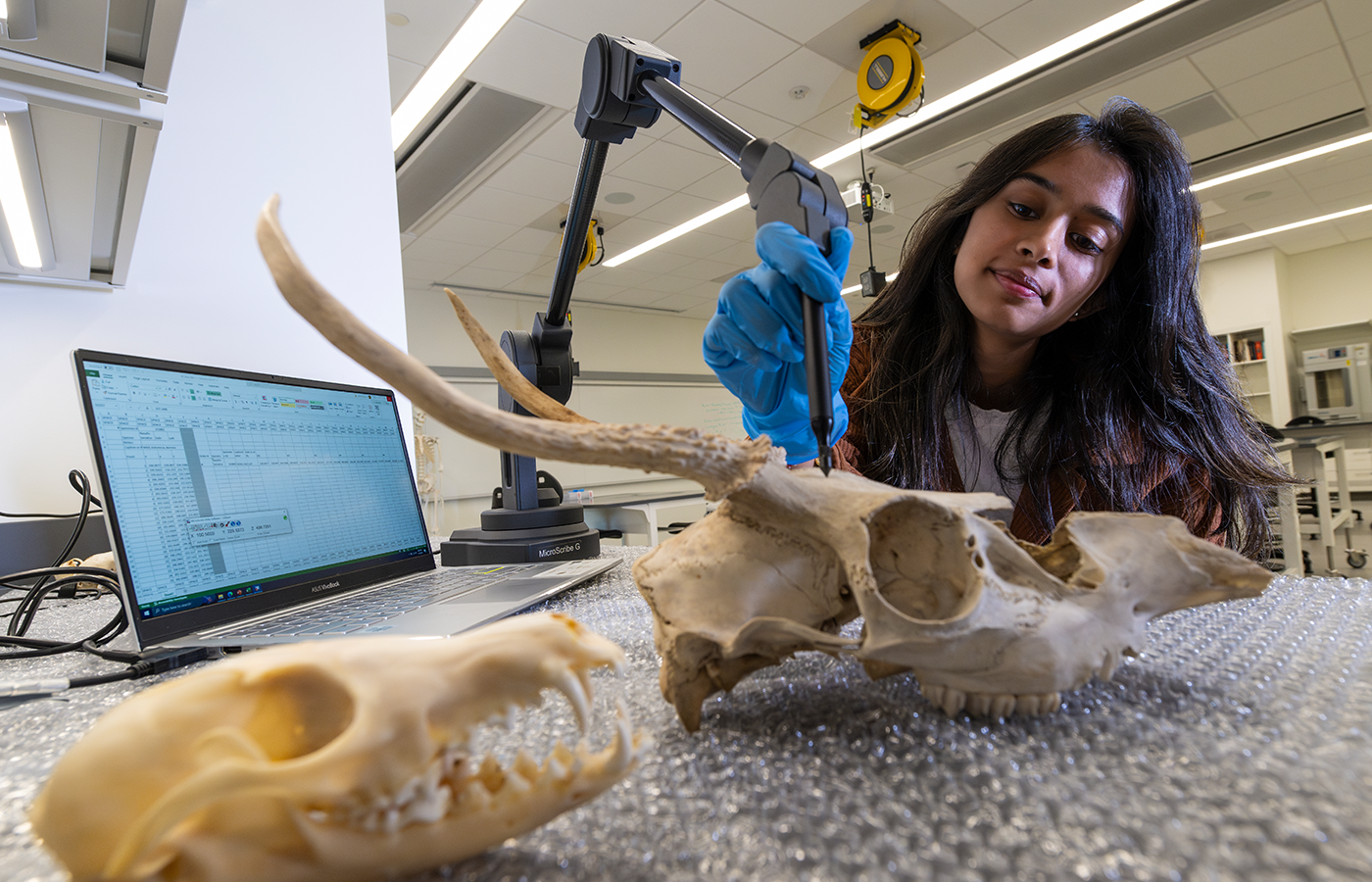 Student in a research lab
